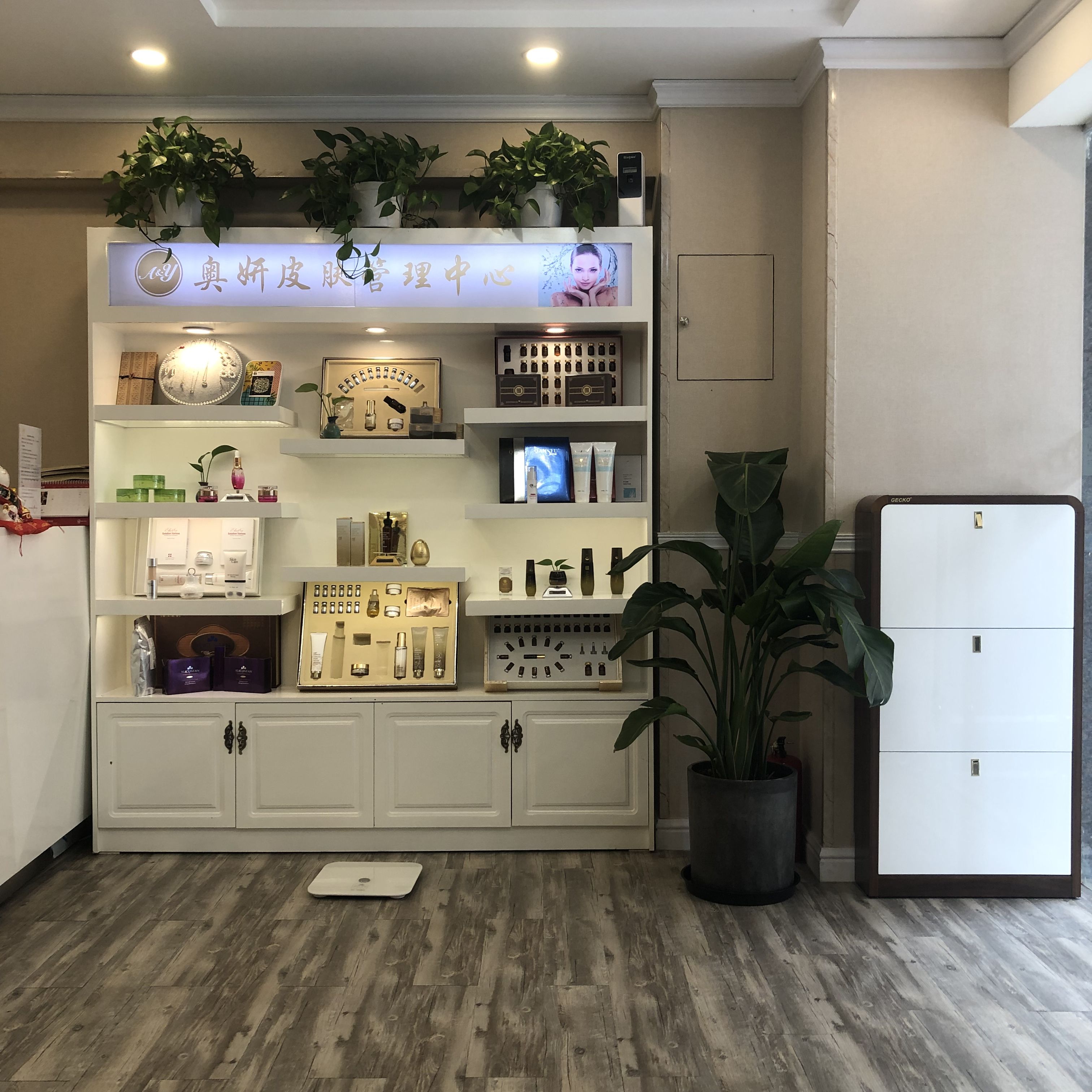 sara美容spa店2下载_周韩美容spa店_sara美容spa店无敌版