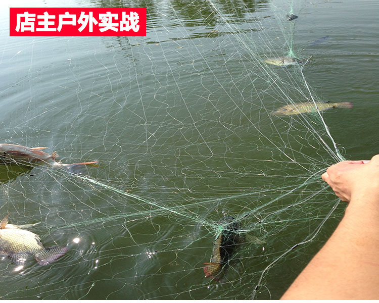 单机捕鱼游戏无需网络版_捕鱼游戏单机版_单机捕鱼版游戏推荐