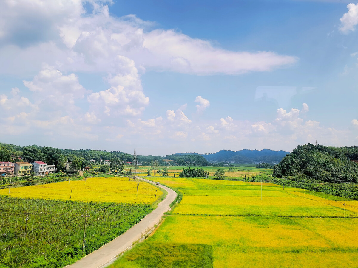 乡村野风流_那些年的乡村肥猪流_杭州野风启城