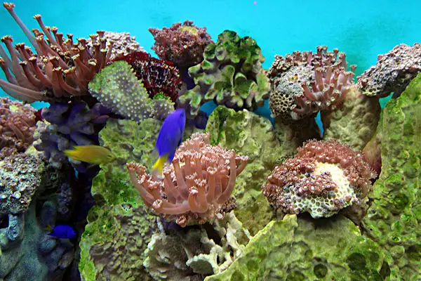 俩一俩海印兰拉胡_海拉_拉海市湿地公园