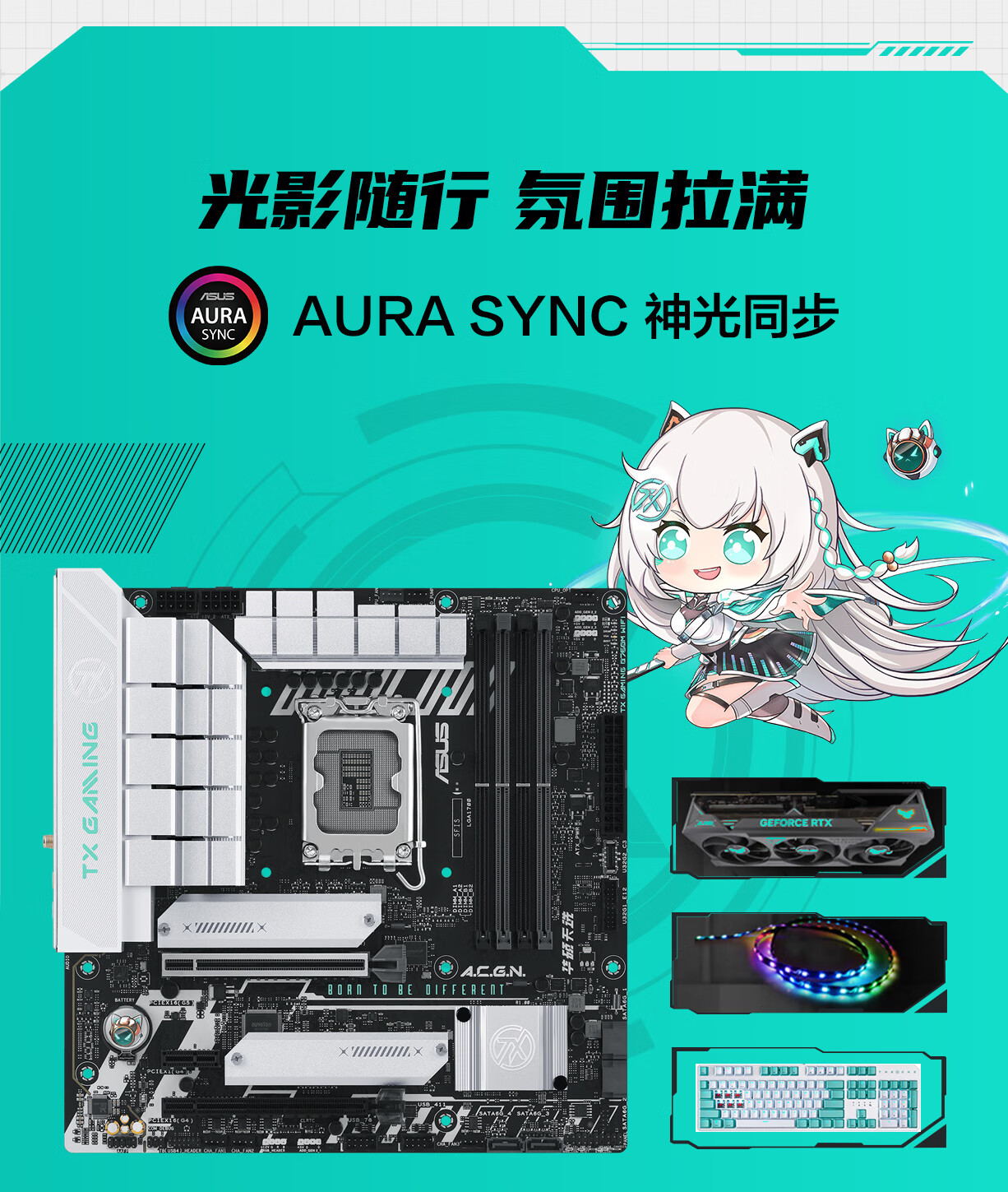 华硕zaku主板_华硕主板的_华硕主板怎么样