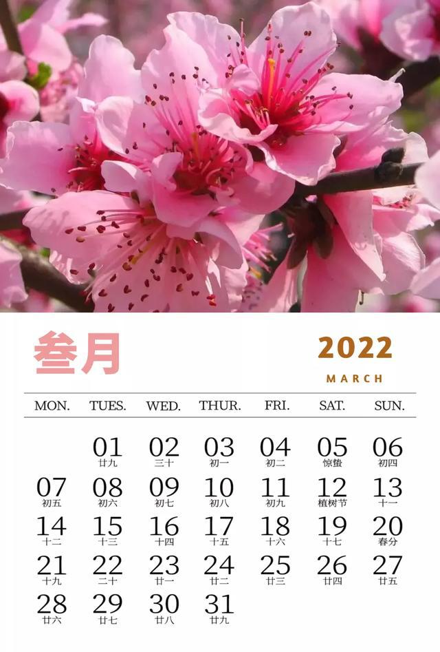 二月闰年平年各多少天_2023年闰二月_二月闰年几年一次