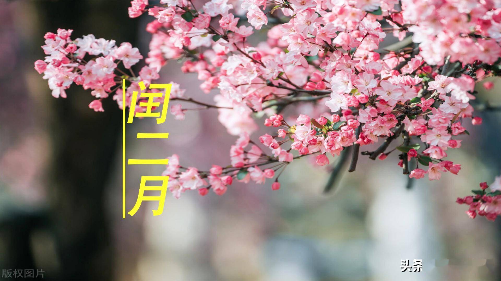 二月闰年几年一次_2023年闰二月_二月闰年平年各多少天