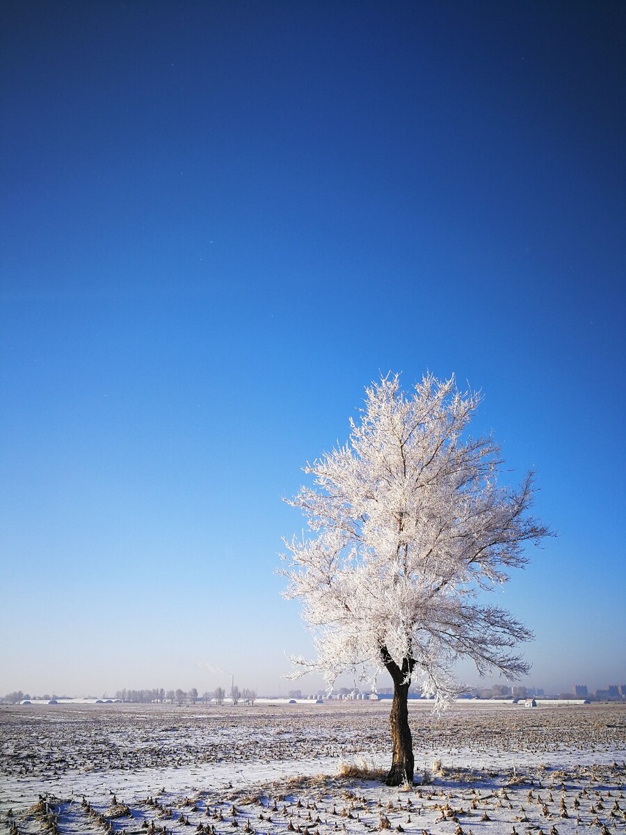 苏蕊_苏蕊汪洋_苏蕊