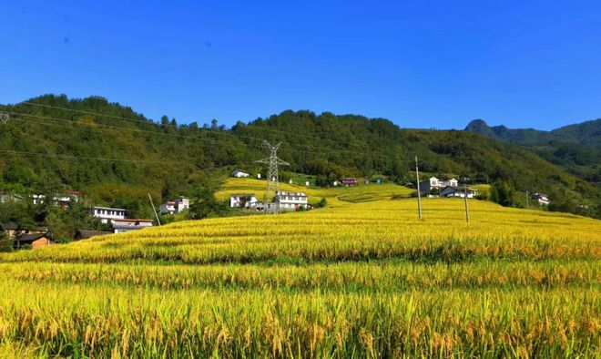 北方拓芙嫁给谁了_北方拓芙_北方拓芙和谁一起了