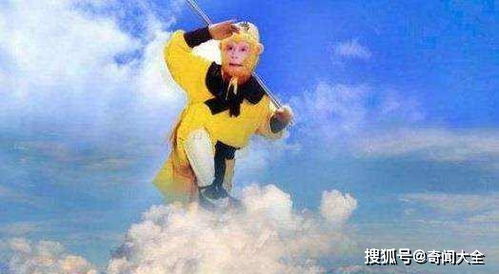 筋斗云影视app下载官网版 筋斗云影视app下载官网版
