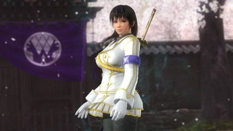 元神私服版 